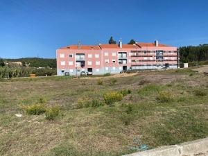 Lote 8.0